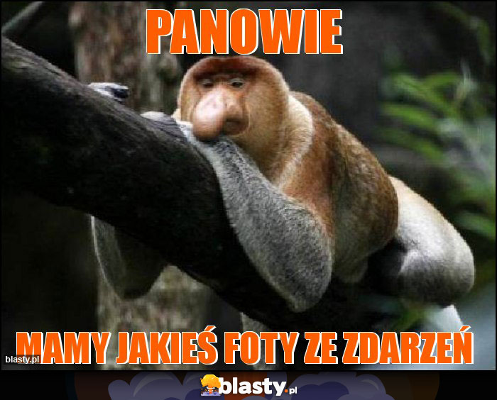 Panowie