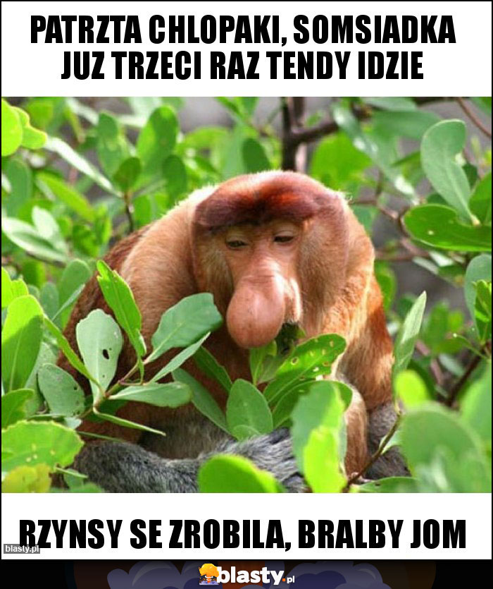 Patrzta chlopaki, somsiadka juz trzeci raz tendy idzie