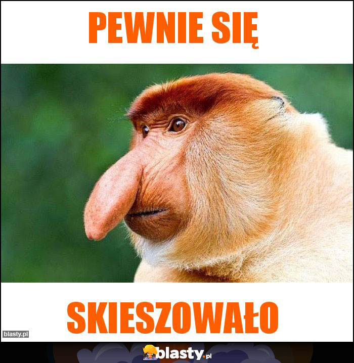 Pewnie się