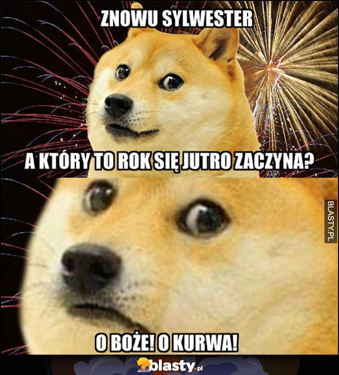 Pieseł doge znowu sylwester, a który to rok się jutro zaczyna? O Boże, o kurna!