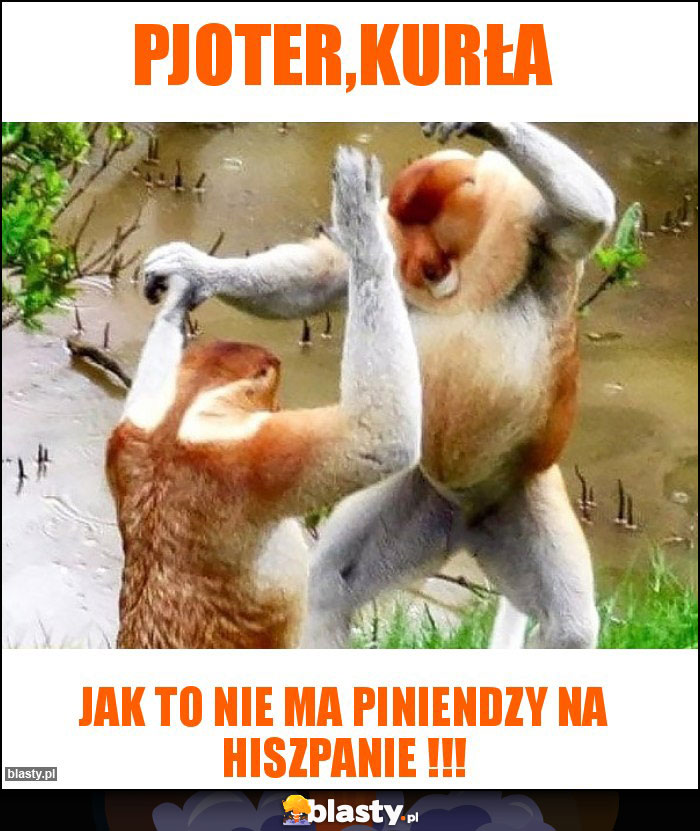 PJOTER,KURŁA