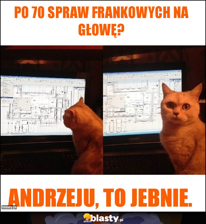 po 70 spraw frankowych na głowę?