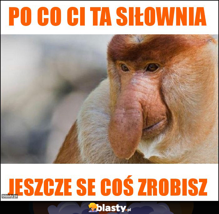 po co ci ta siłownia