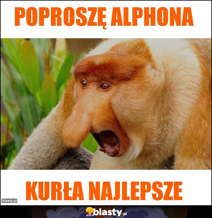 POPROSZĘ ALPHONA