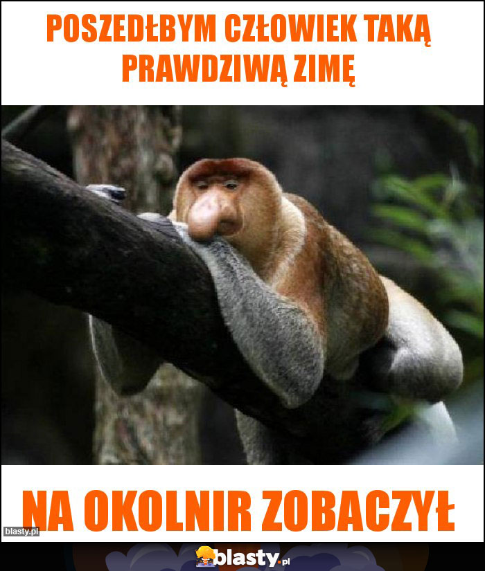 Poszedłbym człowiek taką prawdziwą zimę