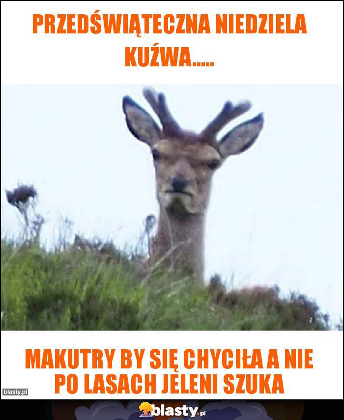 Przedświąteczna niedziela kuźwa.....