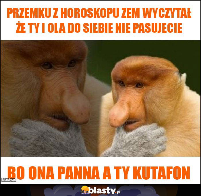 Przemku z horoskopu zem wyczytał że Ty i Ola do siebie nie pasujecie