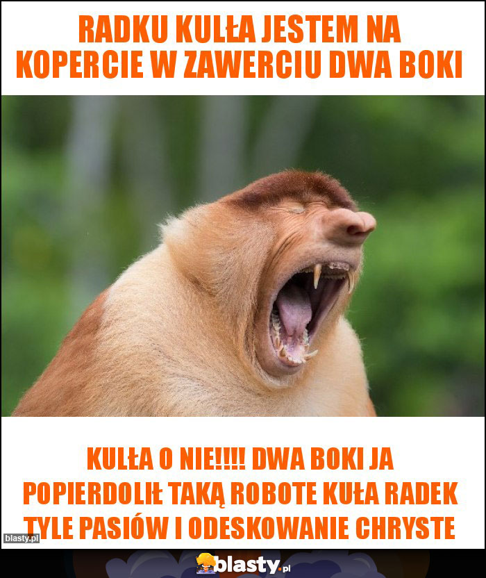 Radku kulła jestem na kopercie w zawerciu dwa boki