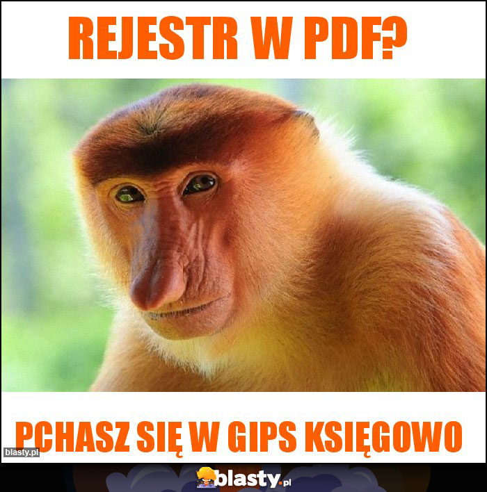 Rejestr w PDF?