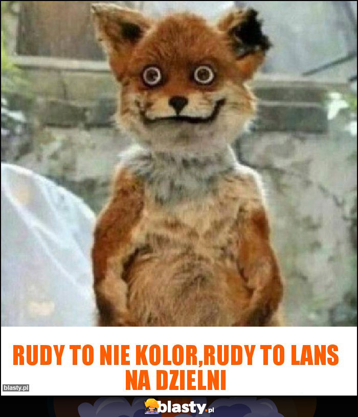 Rudy to nie kolor,rudy to lans na dzielni