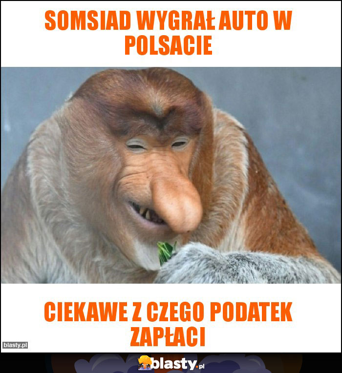 SOMSIAD WYGRAŁ AUTO W POLSACIE