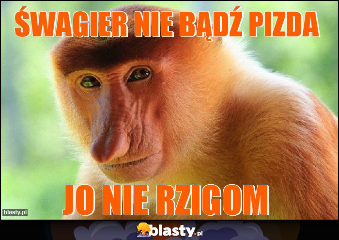 Śwagier nie bądź pizda