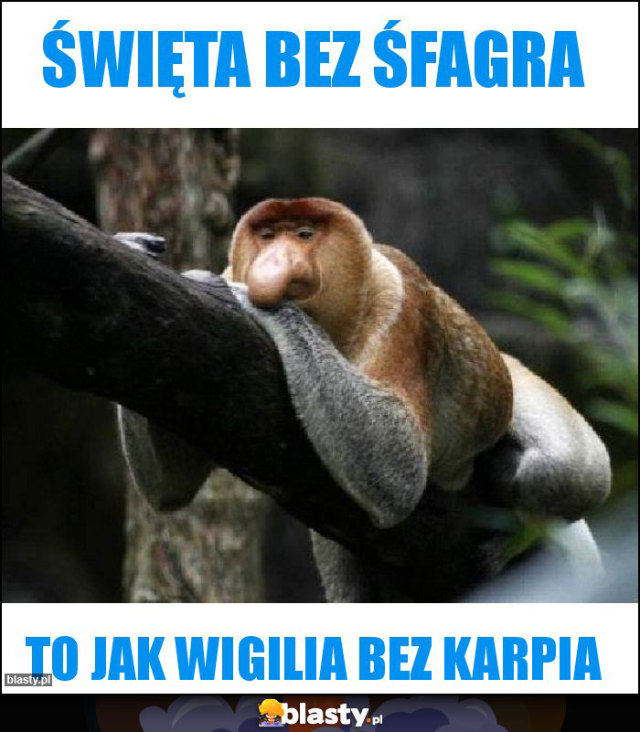 święta bez śfagra