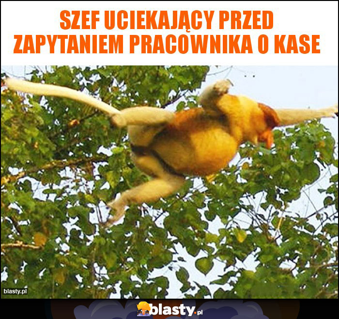 Szef uciekający przed zapytaniem pracownika o kase