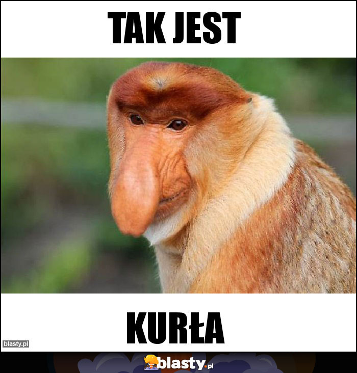 Tak jest