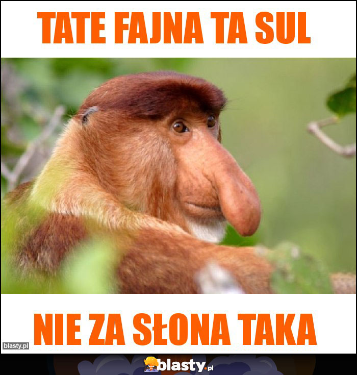 Tate fajna ta sul