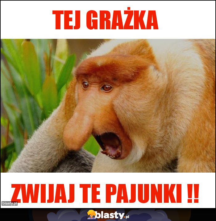 tej grażka