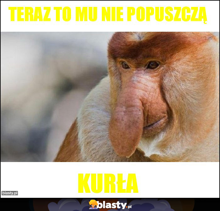 Teraz to mu nie popuszczą