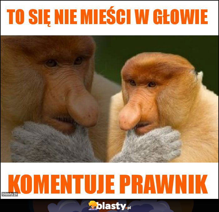 To się nie mieści w głowie