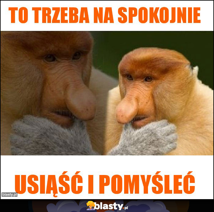 TO TRZEBA NA SPOKOJNIE