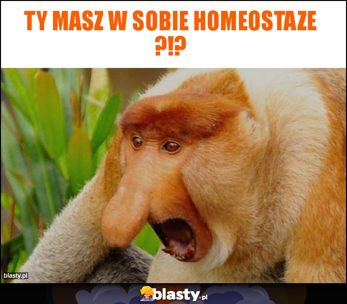 Ty masz w sobie homeostaze ?!?