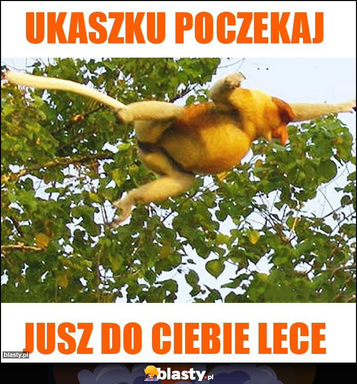 Ukaszku poczekaj