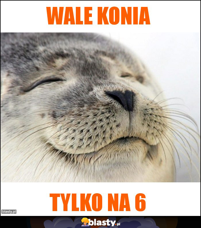 Wale konia