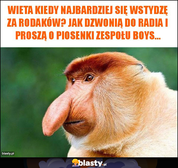 Wieta kiedy najbardziej się wstydzę za rodaków? Jak dzwonią do radia i proszą o piosenki zespołu Boys...