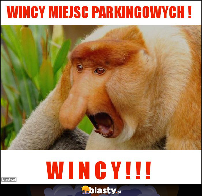 WINCY MIEJSC PARKINGOWYCH !