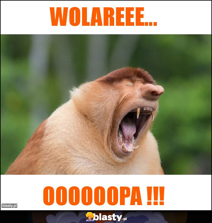 WOLAREEE...