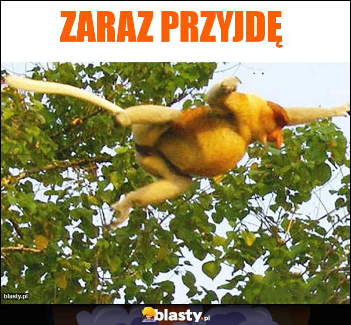 Zaraz przyjdę