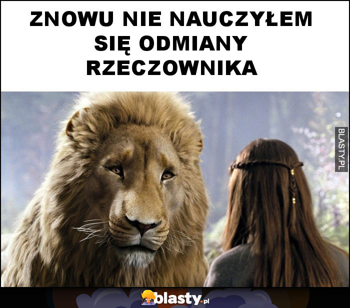 Znowu nie nauczyłem się odmiany rzeczownika