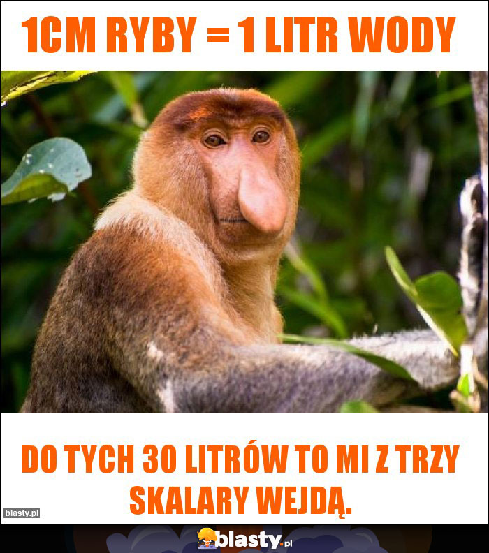 1cm ryby = 1 litr wody