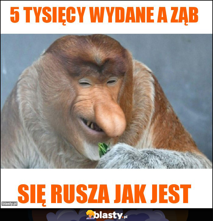 5 tysięcy wydane a ząb