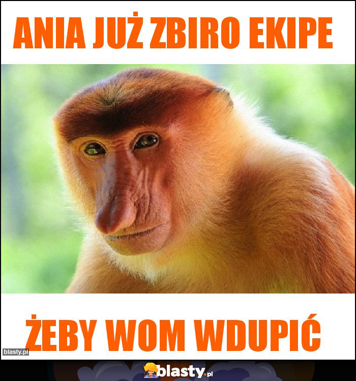 Ania już zbiro ekipe