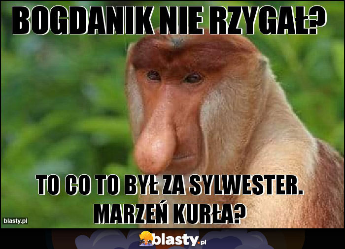 Bogdanik nie rzygał?