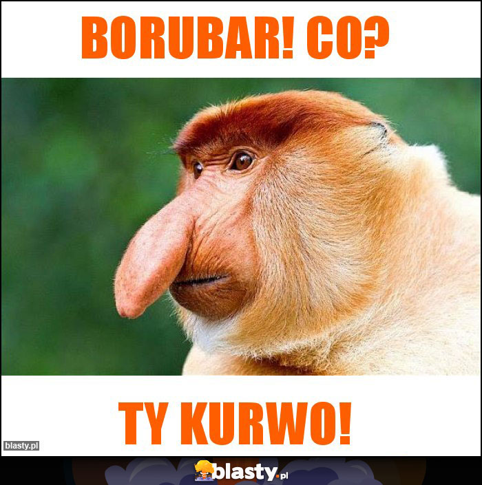 Borubar! Co?