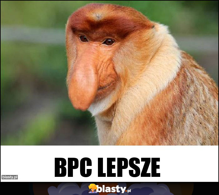 BPC lepsze