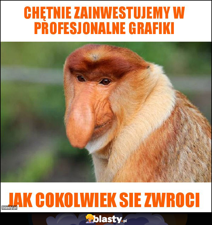 Chętnie zainwestujemy w profesjonalne grafiki