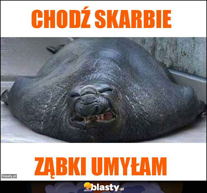 Chodź skarbie