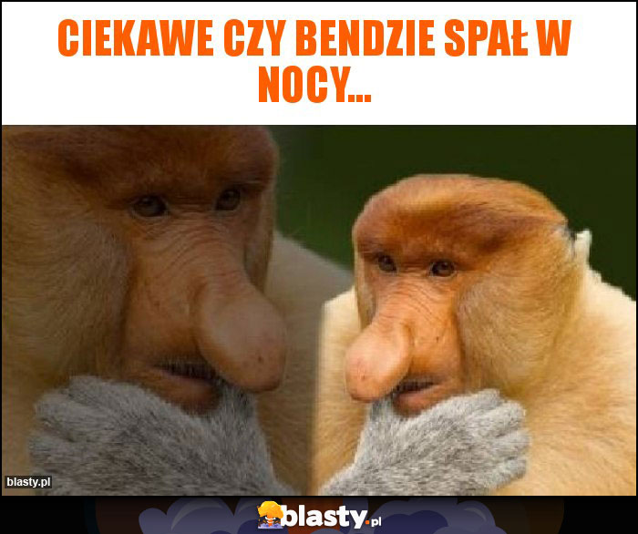 Ciekawe czy bendzie spał w nocy...