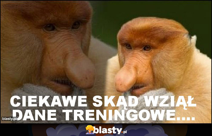 ciekawe skąd wziął dane treningowe....