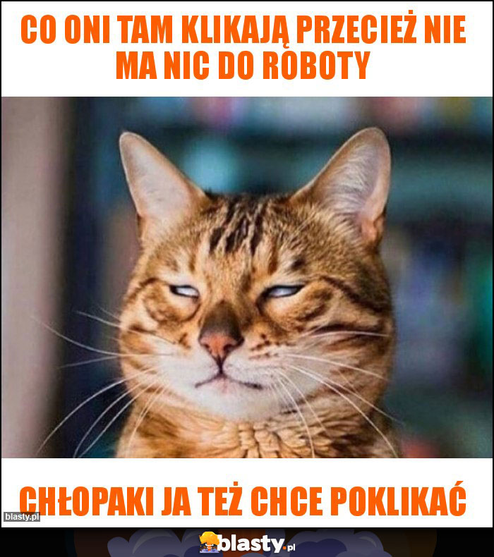 Co oni tam klikają przecież nie ma nic do roboty