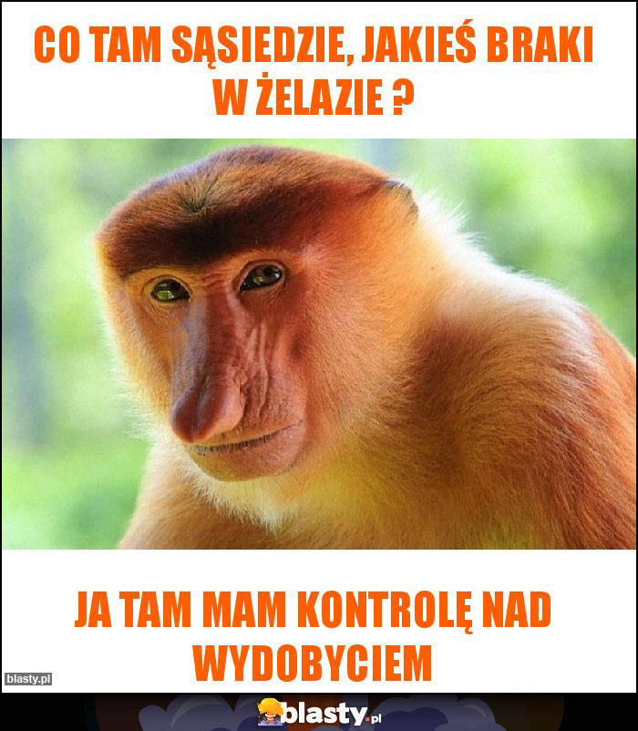 Co tam sąsiedzie, jakieś braki w żelazie ?