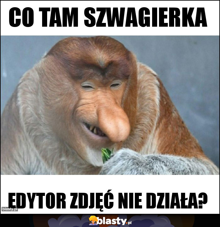 Co tam szwagierka