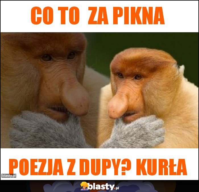 Co to  za pikna