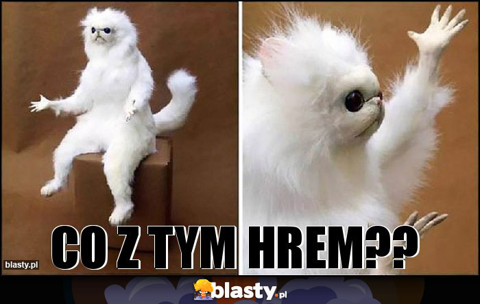 CO Z TYM HRem??