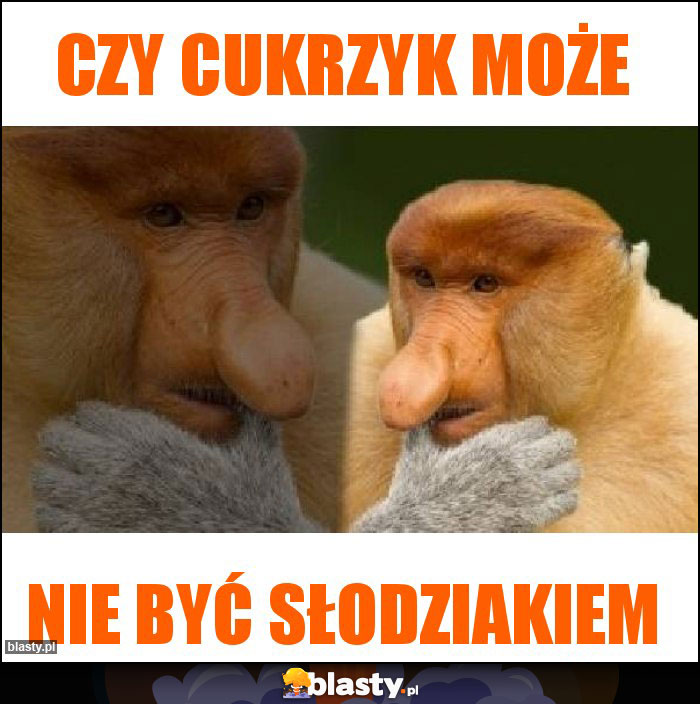 Czy cukrzyk może