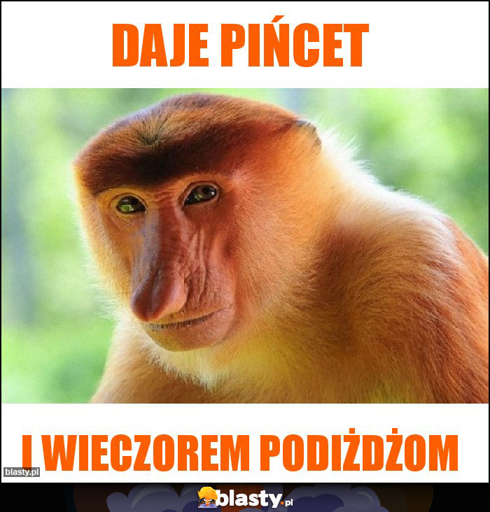 Daje pińcet