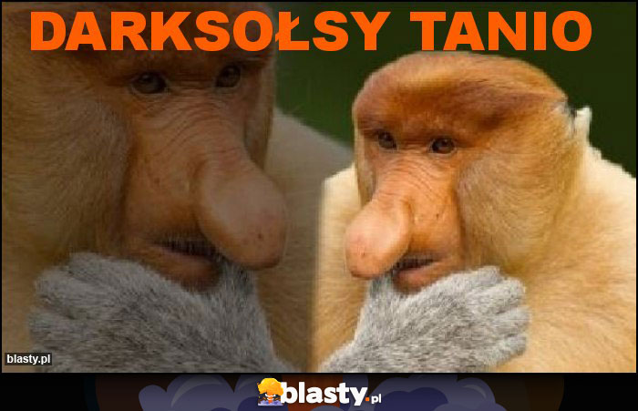 darksołsy tanio